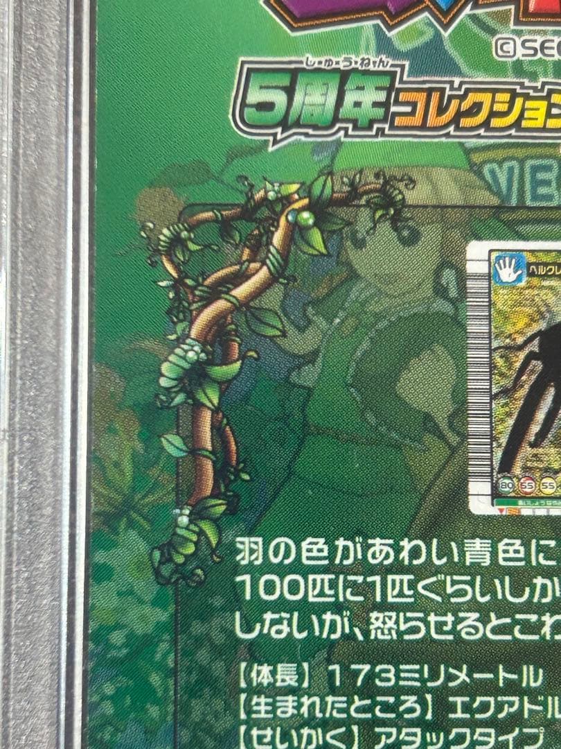 ぷ*す様 【PSA8】　ヘラクレスリッキーブルー　ムシキング　5周年