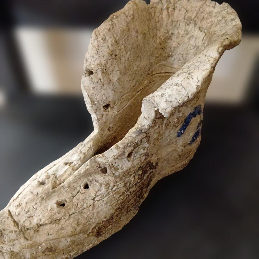 ワンダーデコール　ブーツ型鉢