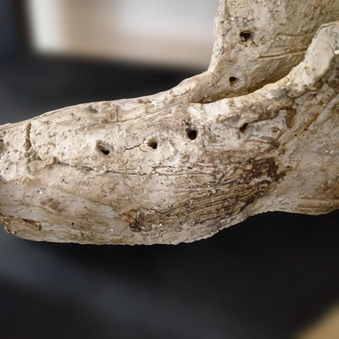 ワンダーデコール　ブーツ型鉢