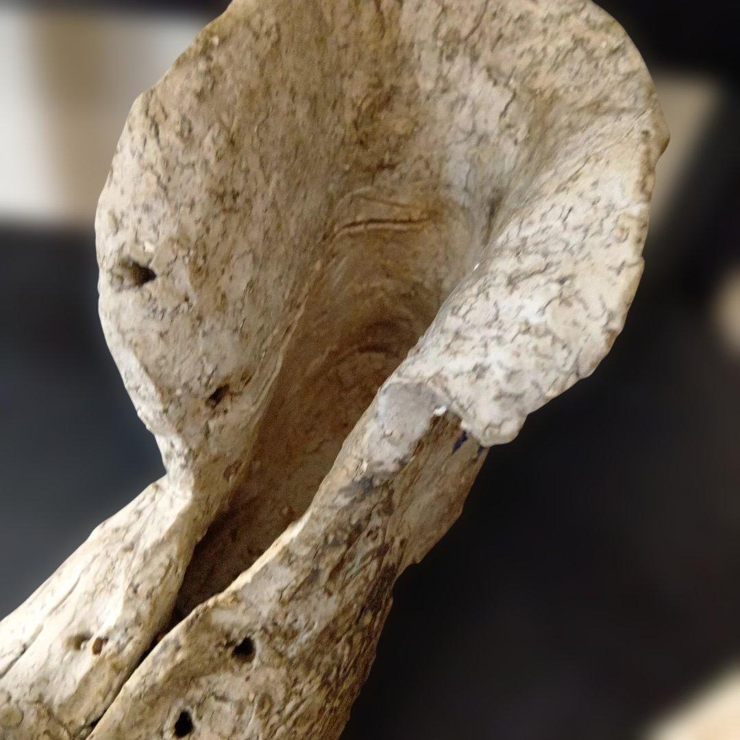 ワンダーデコール　ブーツ型鉢