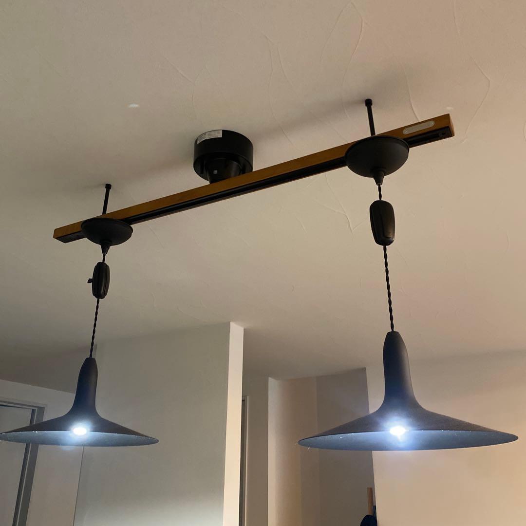 GENERAL 天井照明 2灯 ペンダントライト ライティングレール付き 北欧