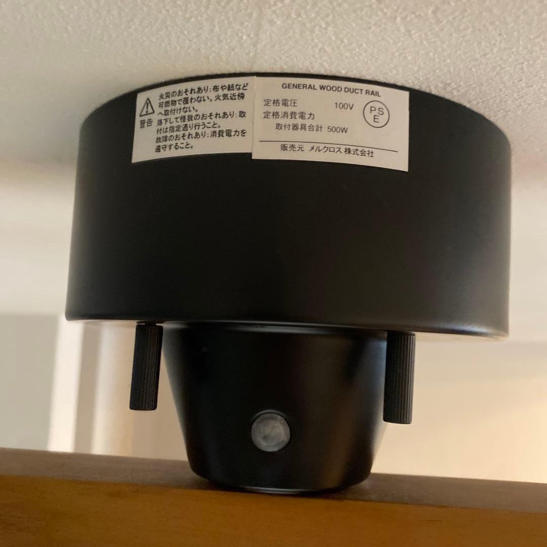 GENERAL 天井照明 2灯 ペンダントライト ライティングレール付き 北欧