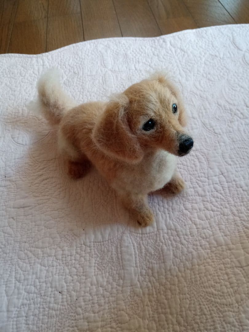 愛犬の羊毛フェルトオーダー・わんちゃん・受付専用ページ