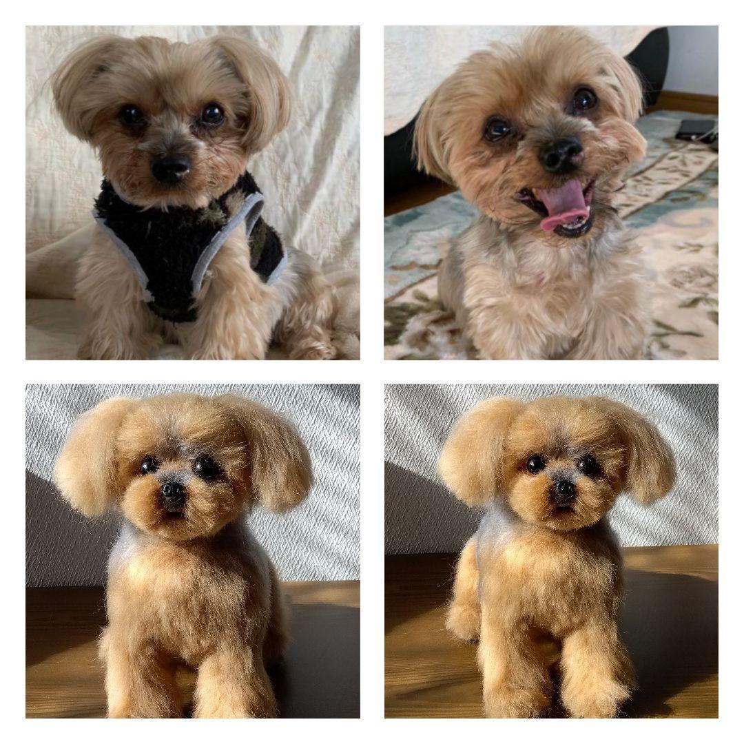 愛犬の羊毛フェルトオーダー・わんちゃん・受付専用ページ