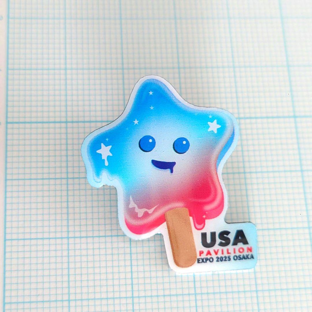 【激レア】大阪・関西万博　アメリカ館　ナショナルデーピンバッジ