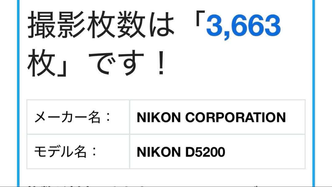 Nikon D5200 デジタル一眼レフカメラ　ブロンズ　希少