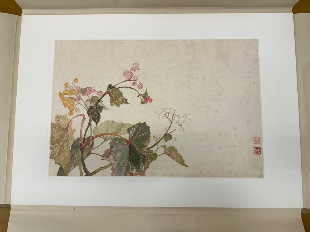 清 惲壽平花卉山水合冊 王翬