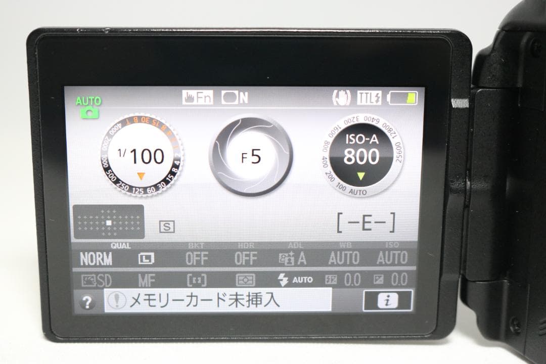 大人気⭐Nikon D5600 望遠レンズセット⭐初心者完全セット 一眼レフ