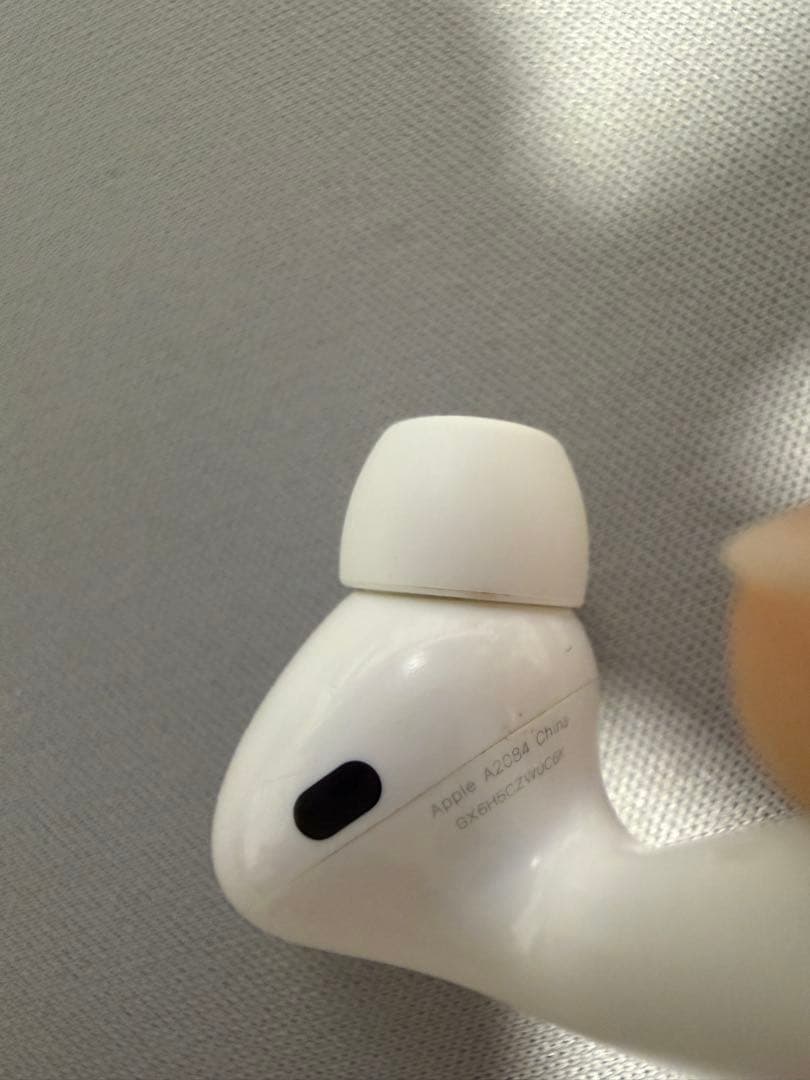 AirPods Pro 第1世代 A2190 A2083 ライトニング 付属有