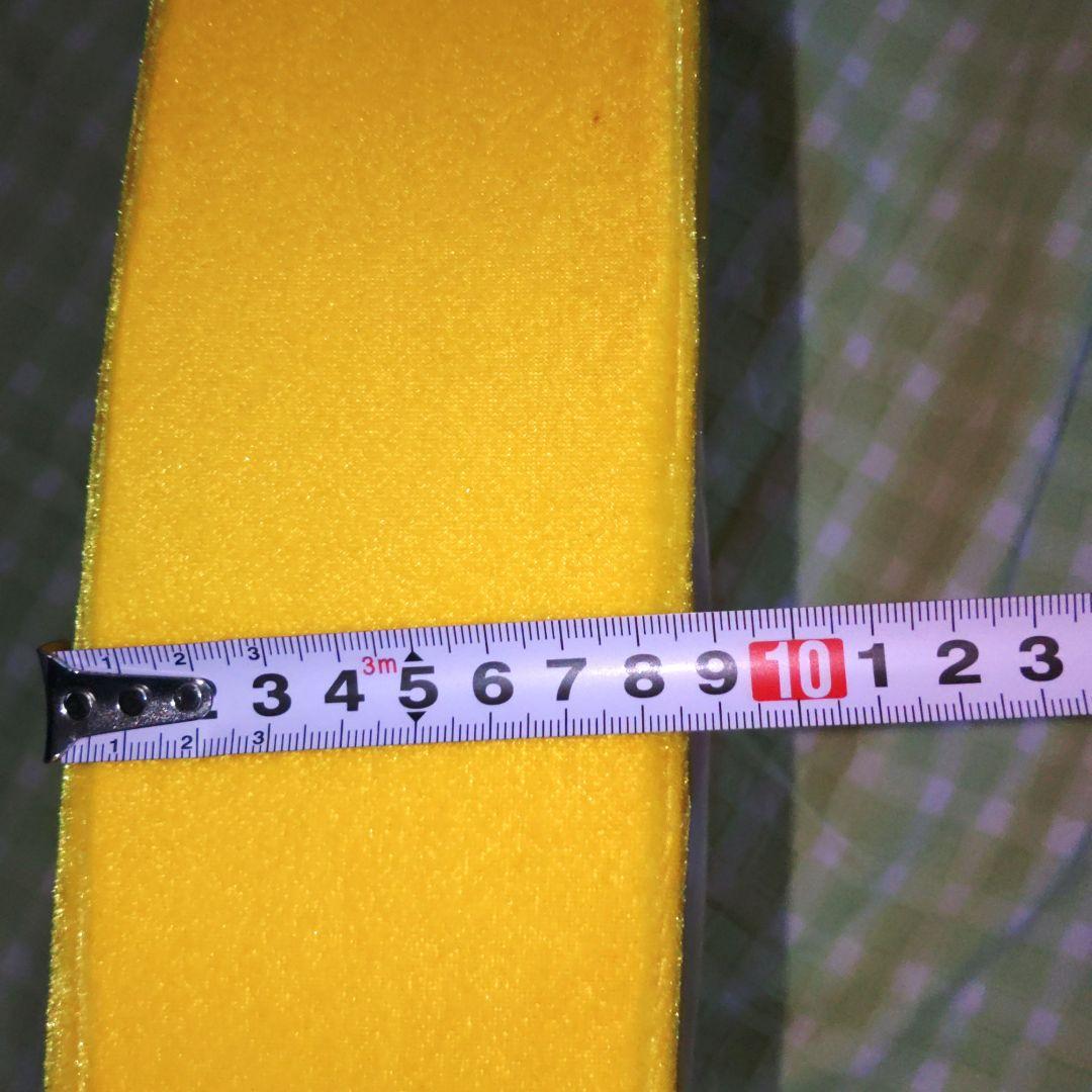 Disney　ドナルドダック　サーフボード　ぬいぐるみ　５５cm　サーフィン