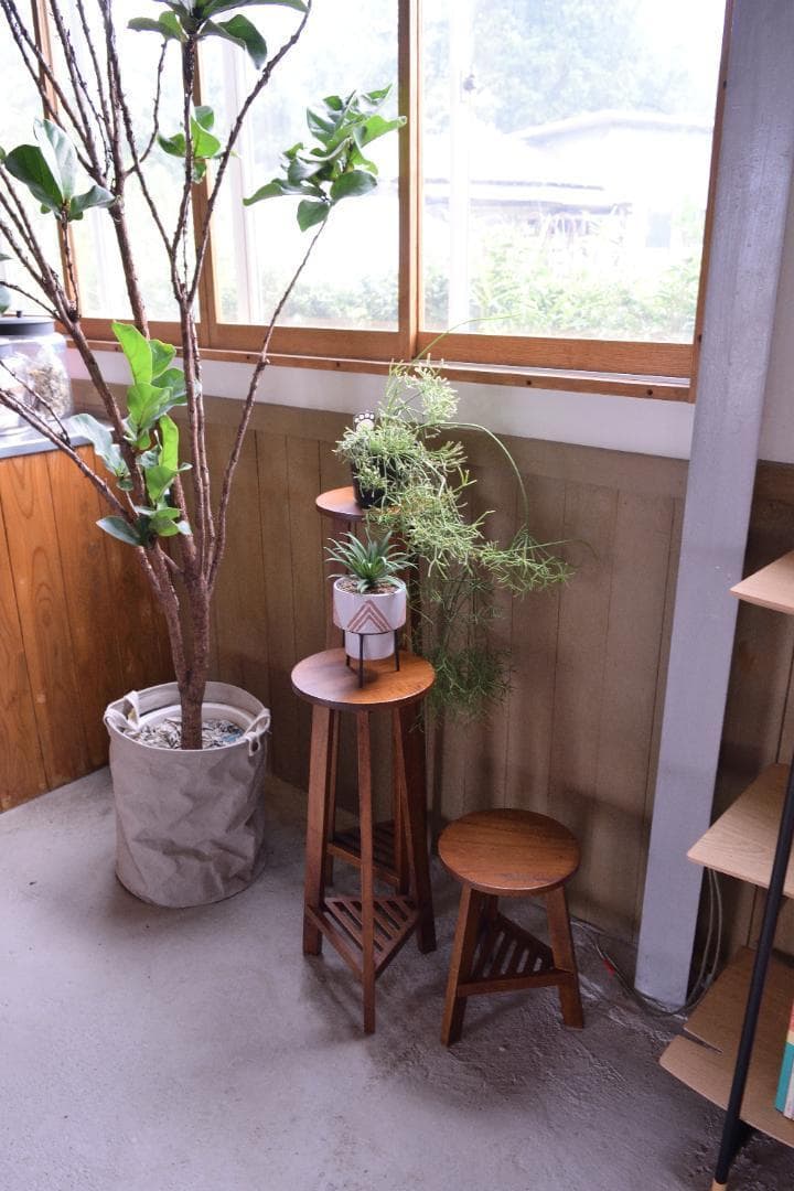 Mサイズ フラワースタンド 室内 木製 観葉植物 GUY-922 N02