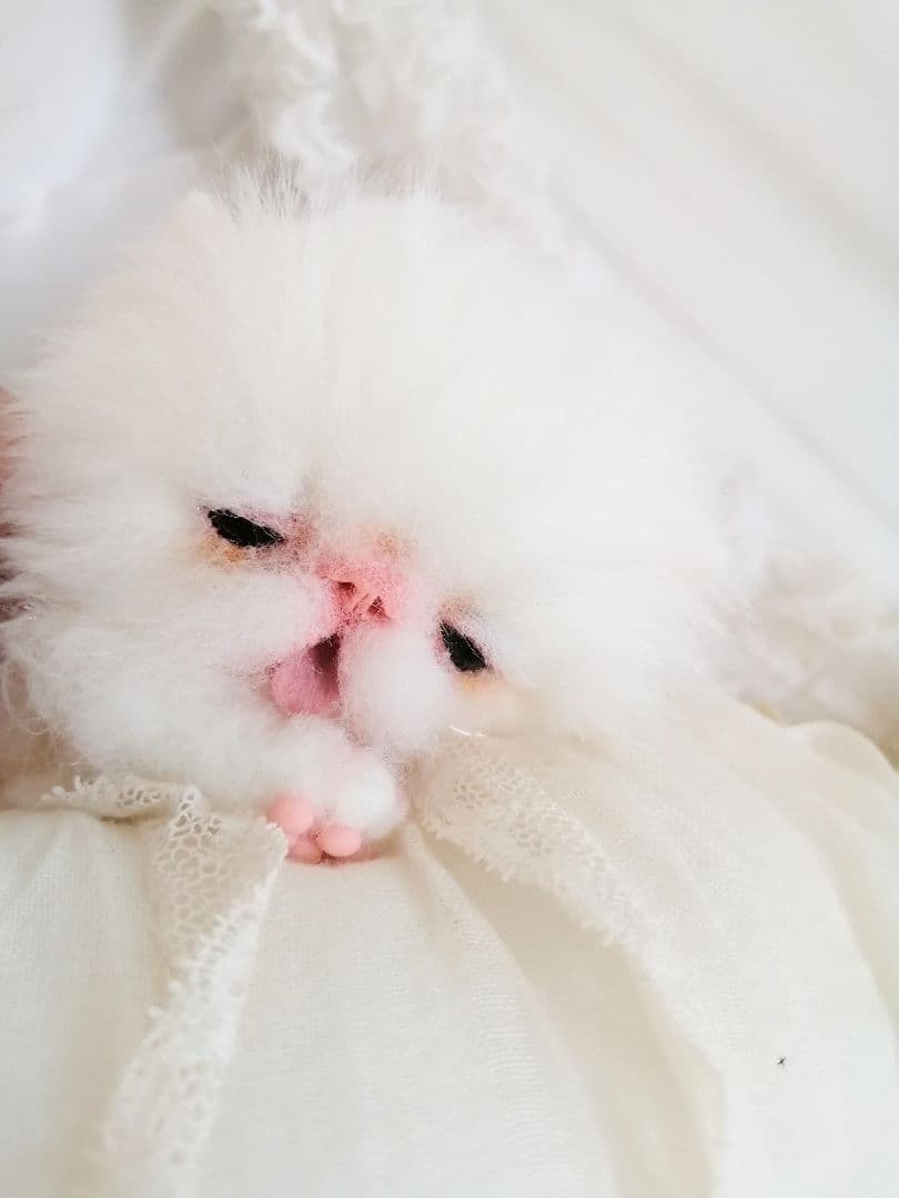 生後15日♡子猫のむーちゃん♡お腹ぽっこり♡アートドール♡ぬいぐるみ♡
