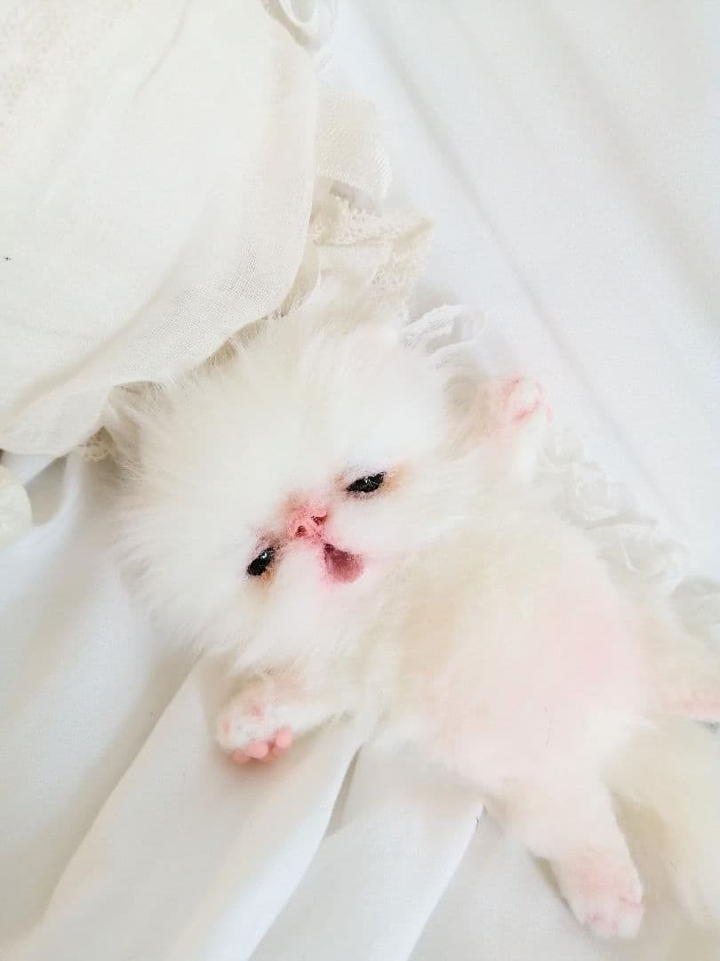 生後15日♡子猫のむーちゃん♡お腹ぽっこり♡アートドール♡ぬいぐるみ♡