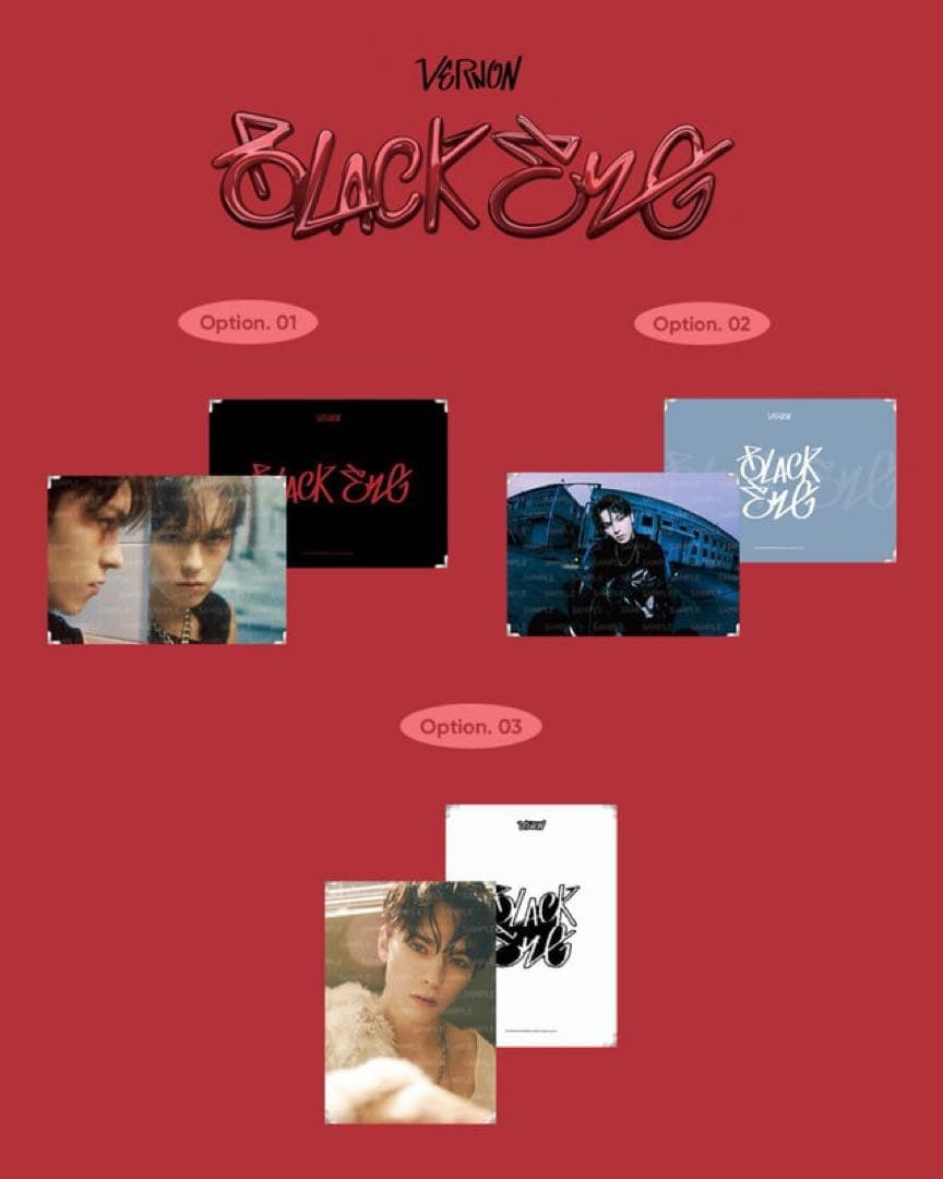 アイドル SEVENTEEN VERNON PREMIUM PHOTO (03)