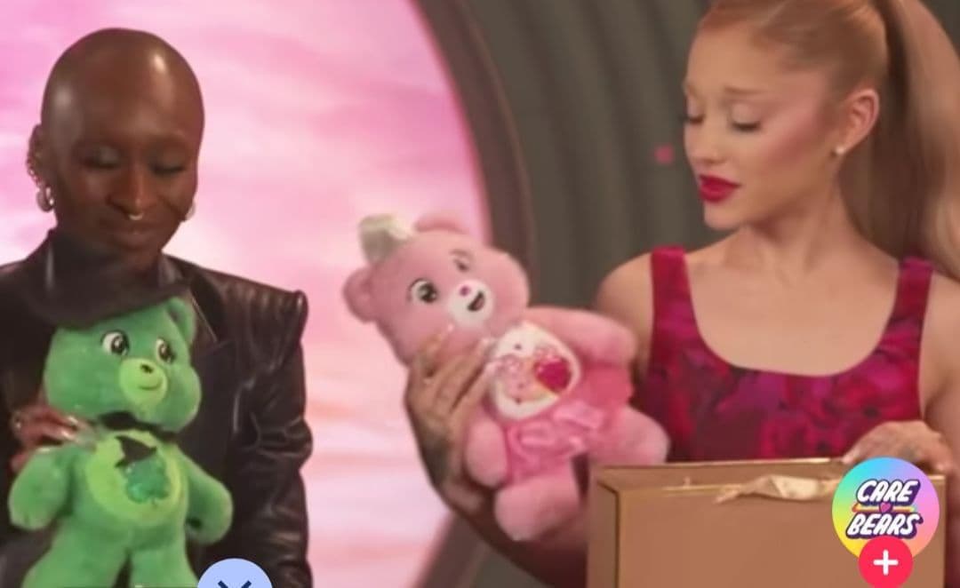 Wicked×CareBears　ケアベアぬいぐるみ　BOX　2体セット