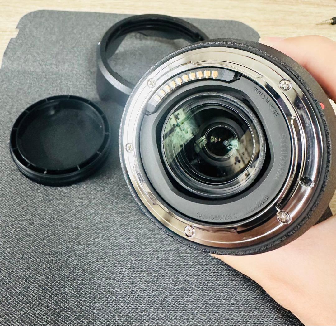 レンズ(ズーム) LUMIX S 28-200mm