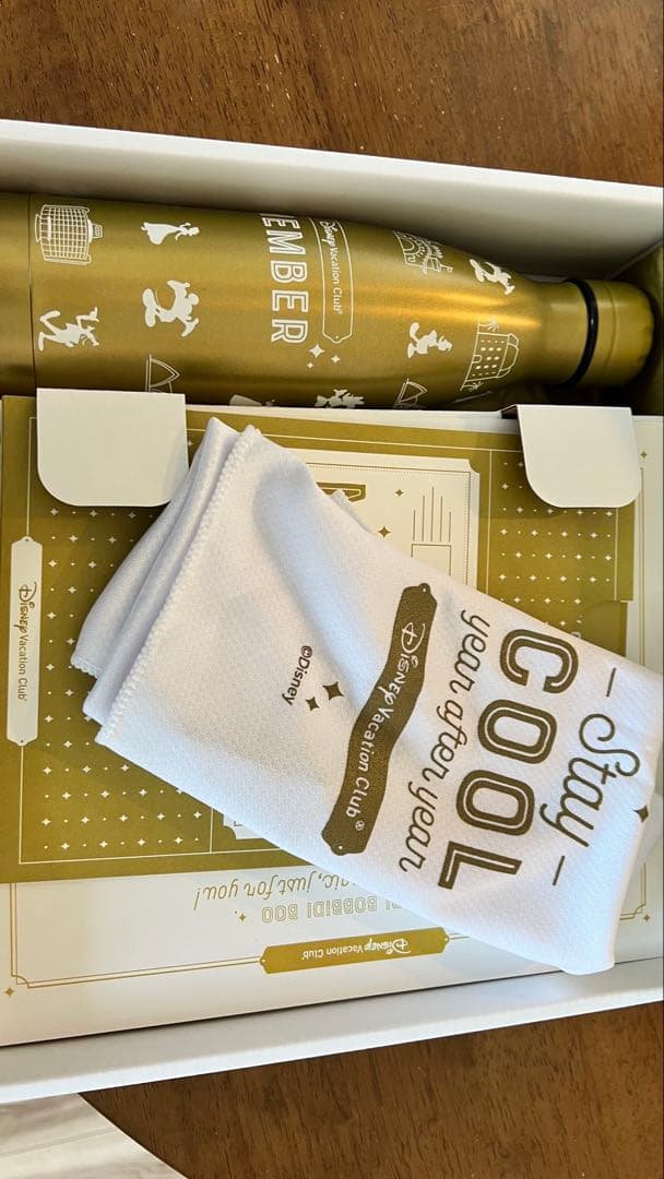 Disney Vacation Club MEMBER 水筒　DVC