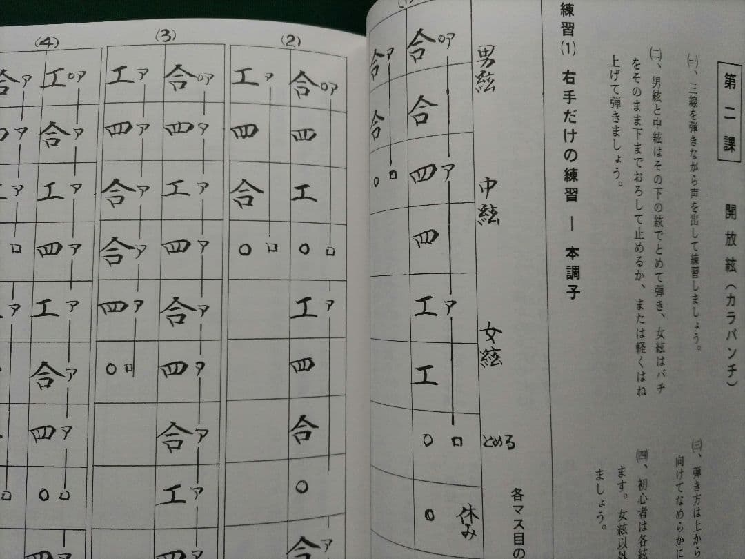 【沖縄音楽】沖縄 三線 （本蛇革）布袋、替え弦、爪、教則本、工工四楽譜付きCD