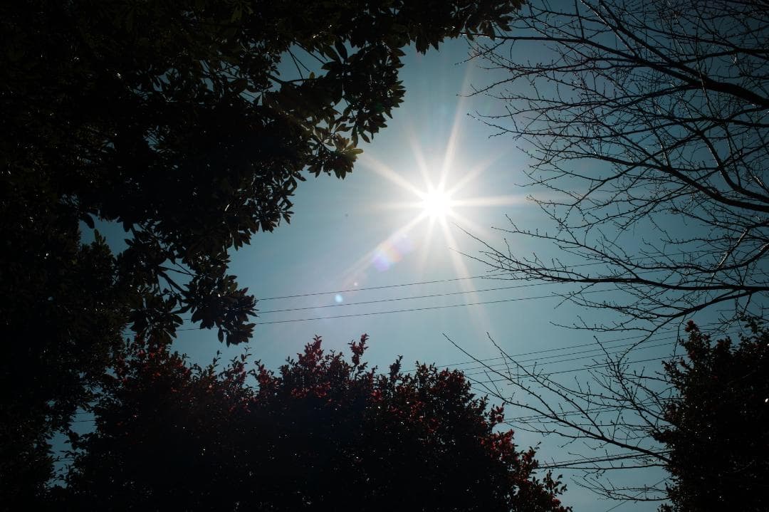 【極美品】Canon New FD 28mm F2.8 キャノン 065