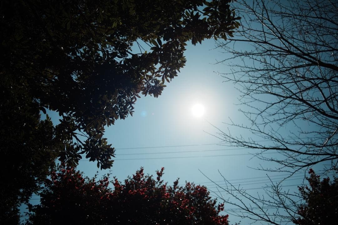 【極美品】Canon New FD 28mm F2.8 キャノン 065