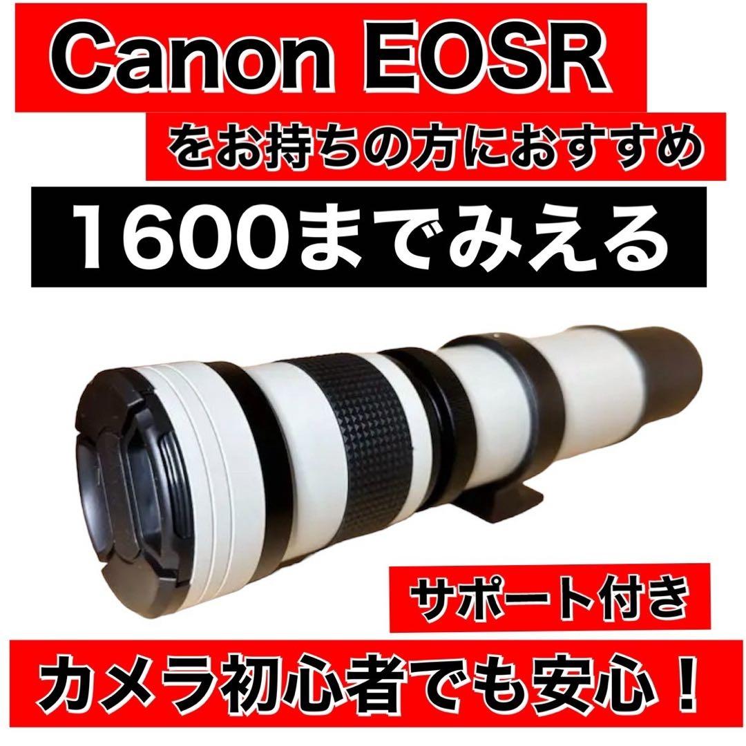 1600まで見える！？Canonミラーレスカメラをお持ちの方におすすめ！サポート