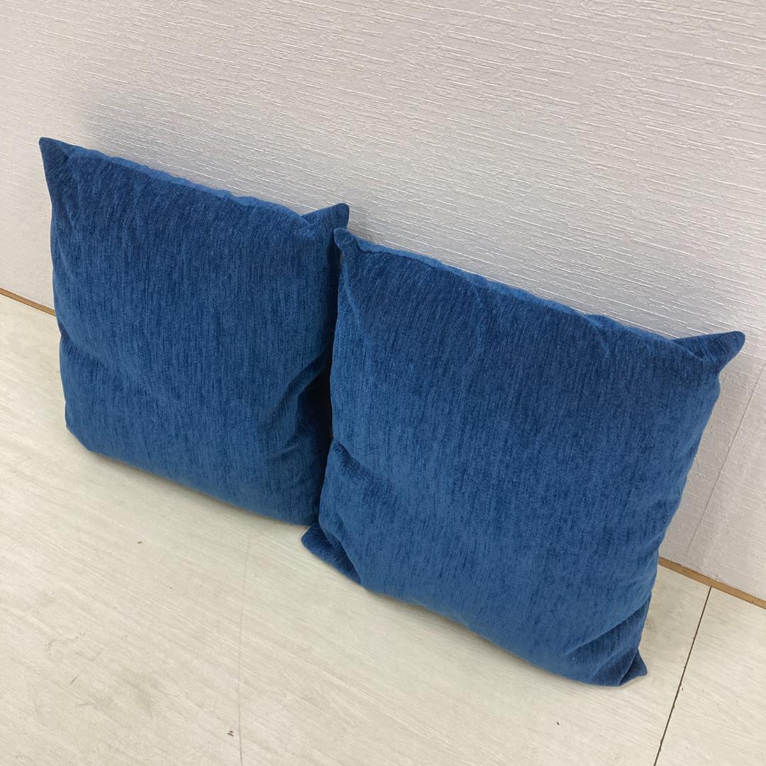 エスティック　スピガ　羽毛　フェザー　クッション　２個セット　50X50