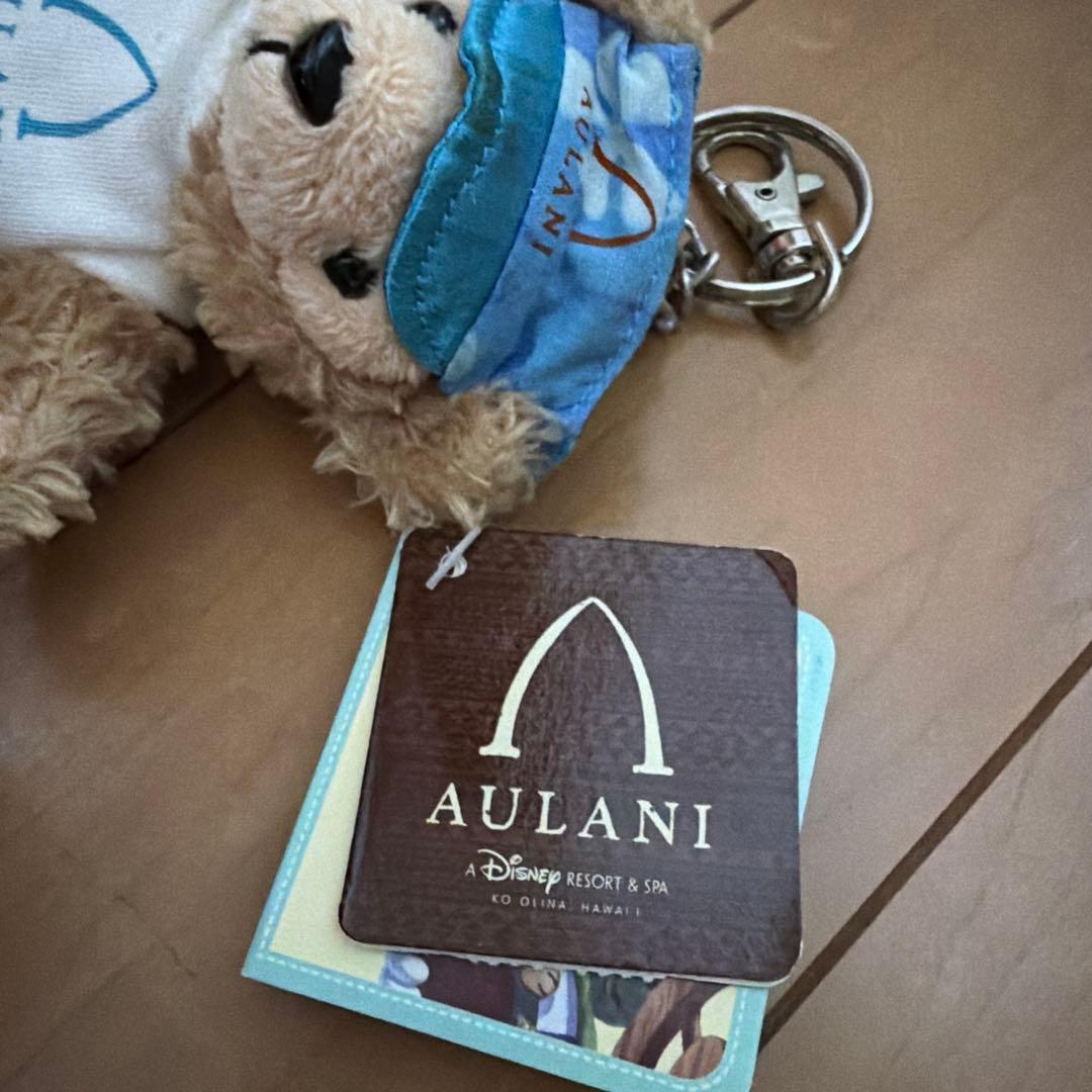 ダッフィー　ミニー　ミッキー　海外　WDW ハワイ