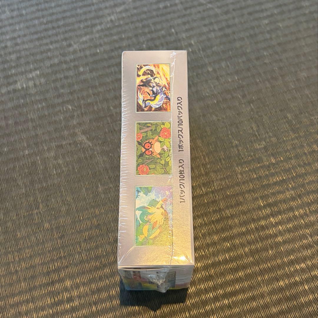 ポケモンカードゲーム テラスタルフェスex