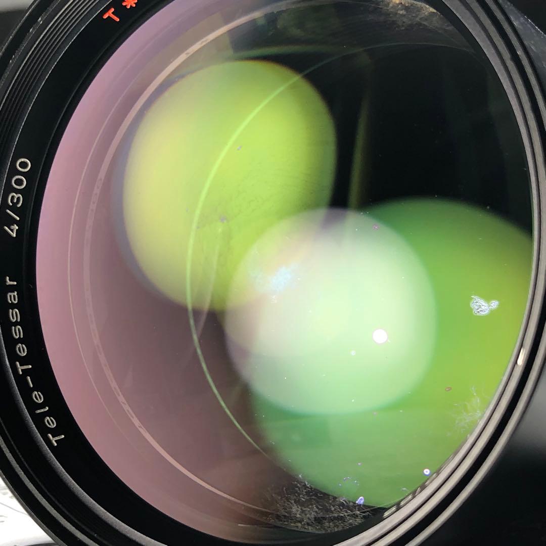 ピンクの猫 さま　CarlZeiss 300mm f4 Y/Cマウント