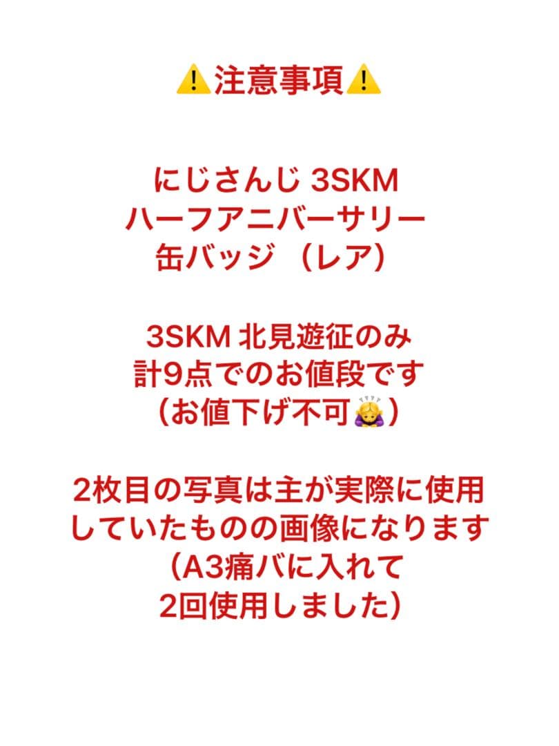 にじさんじ3SKM ハーフアニバーサリー ランダム缶バッジレア 北見遊征 9点⑦