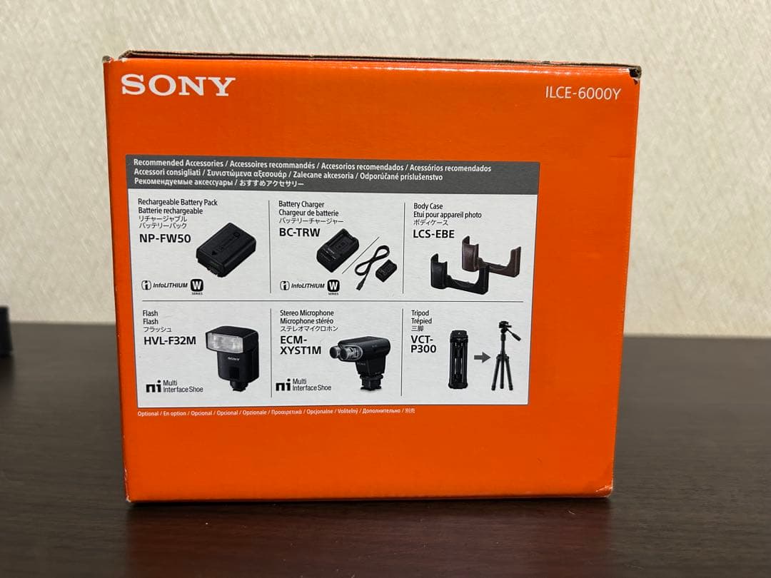 SONY α6000 （ILCE-6000Y）ミラーレス一眼