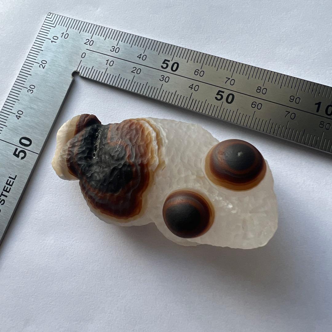 希少石！ゴビ瑪瑙 ゴビアゲート 鉱物 67mm