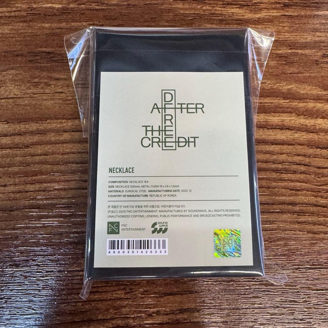 CNBLUEヨンファ　2025 ソロコン　ネックレス　ジョン・ヨンファ