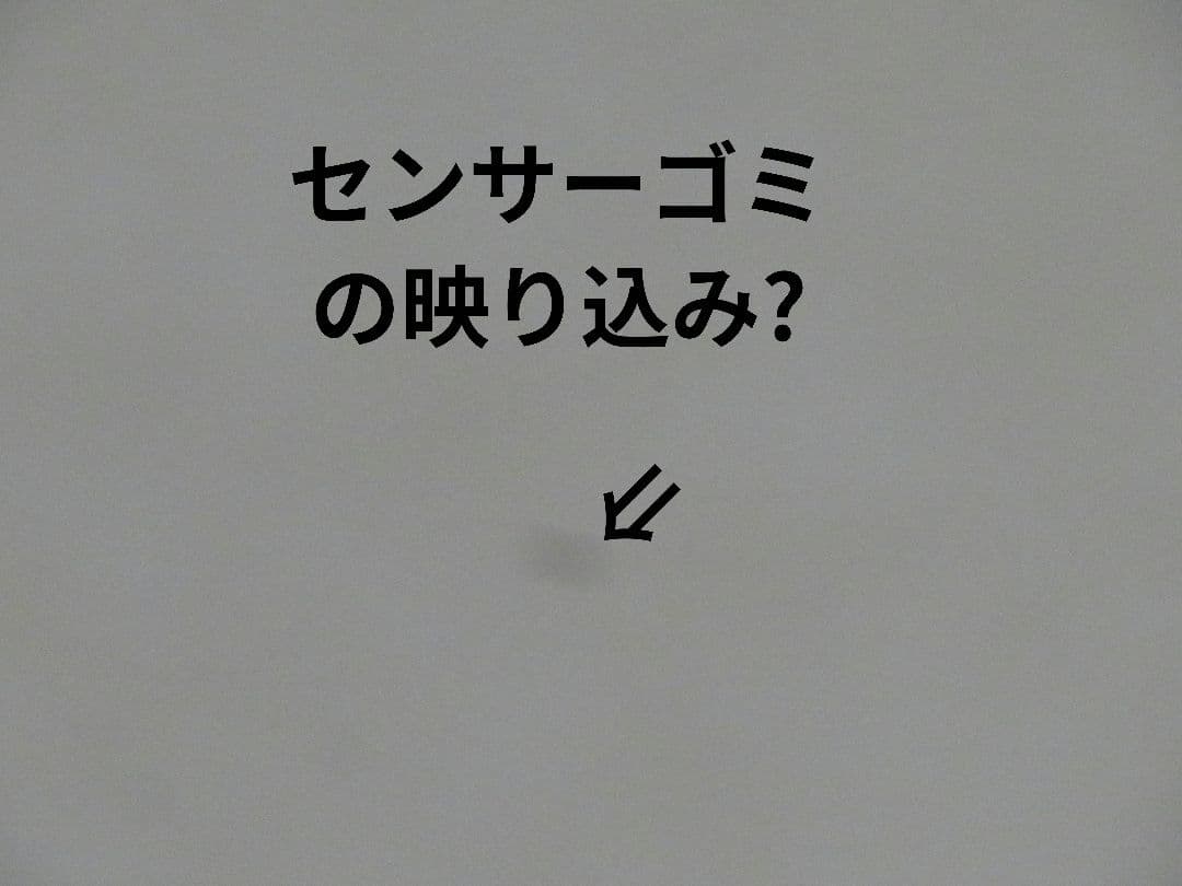 【訳あり】光学40倍　Canon PowerShot SX720 HS　レッド