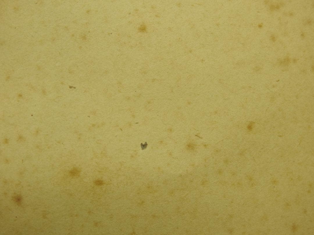 清水公照　4文字書　保存箱　MA837