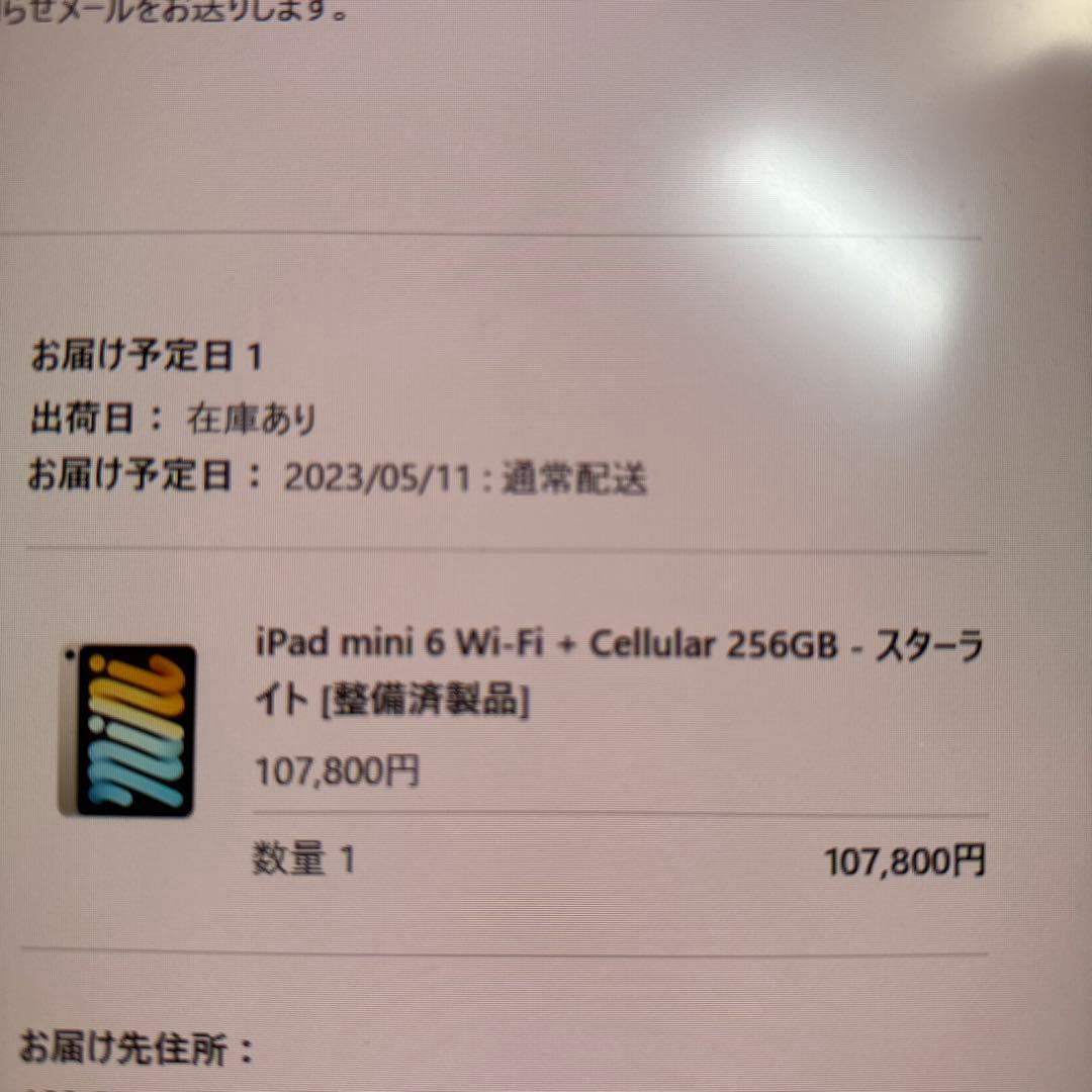 iPad mini 第6世代 本体　256gb cellular