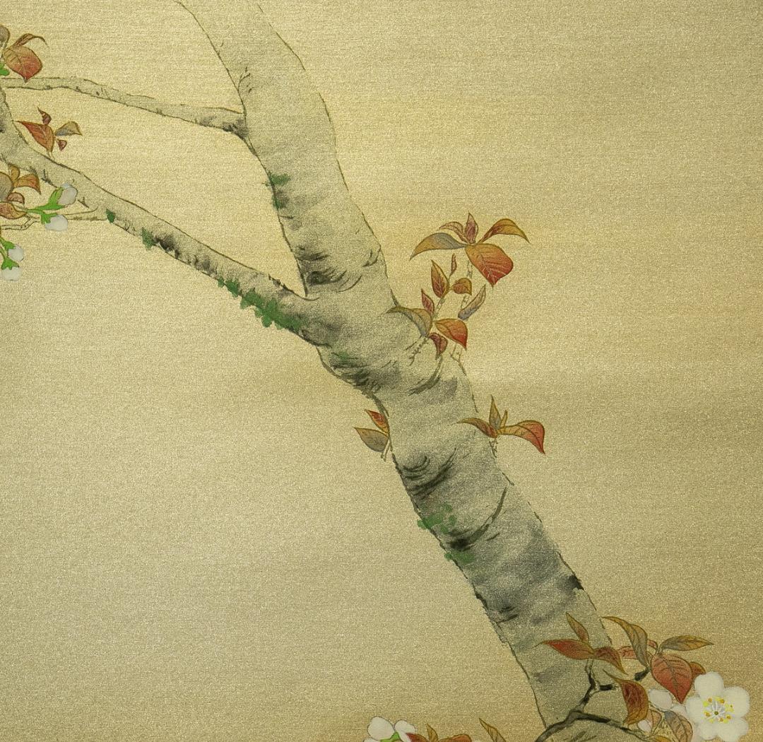 掛軸-1769　国井道成　山桜　共箱