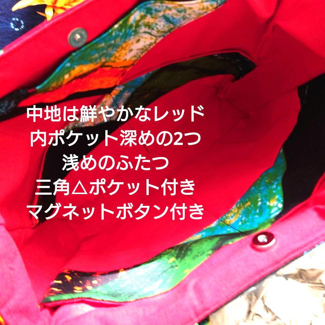 きょきょみページ