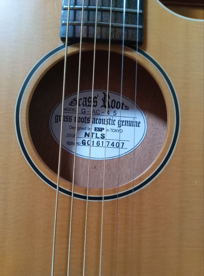 Grass Roots G-AC-45 アコースティックギター
