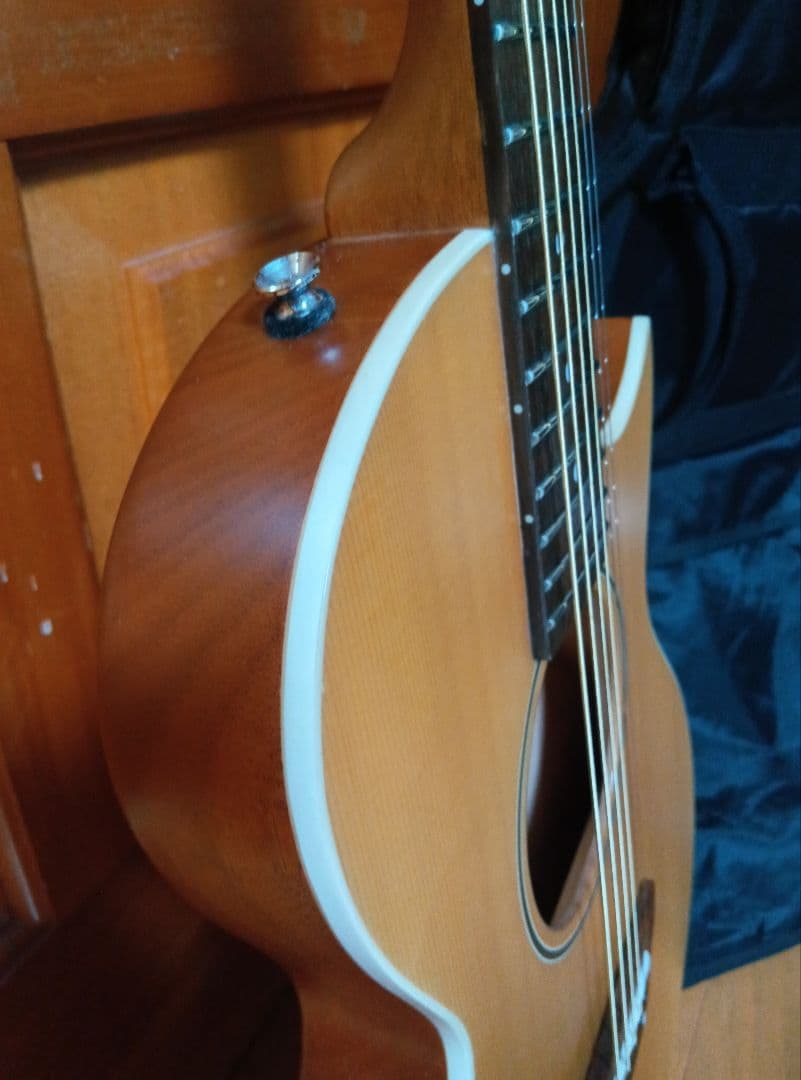 Grass Roots G-AC-45 アコースティックギター