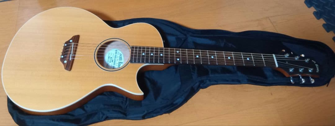 Grass Roots G-AC-45 アコースティックギター