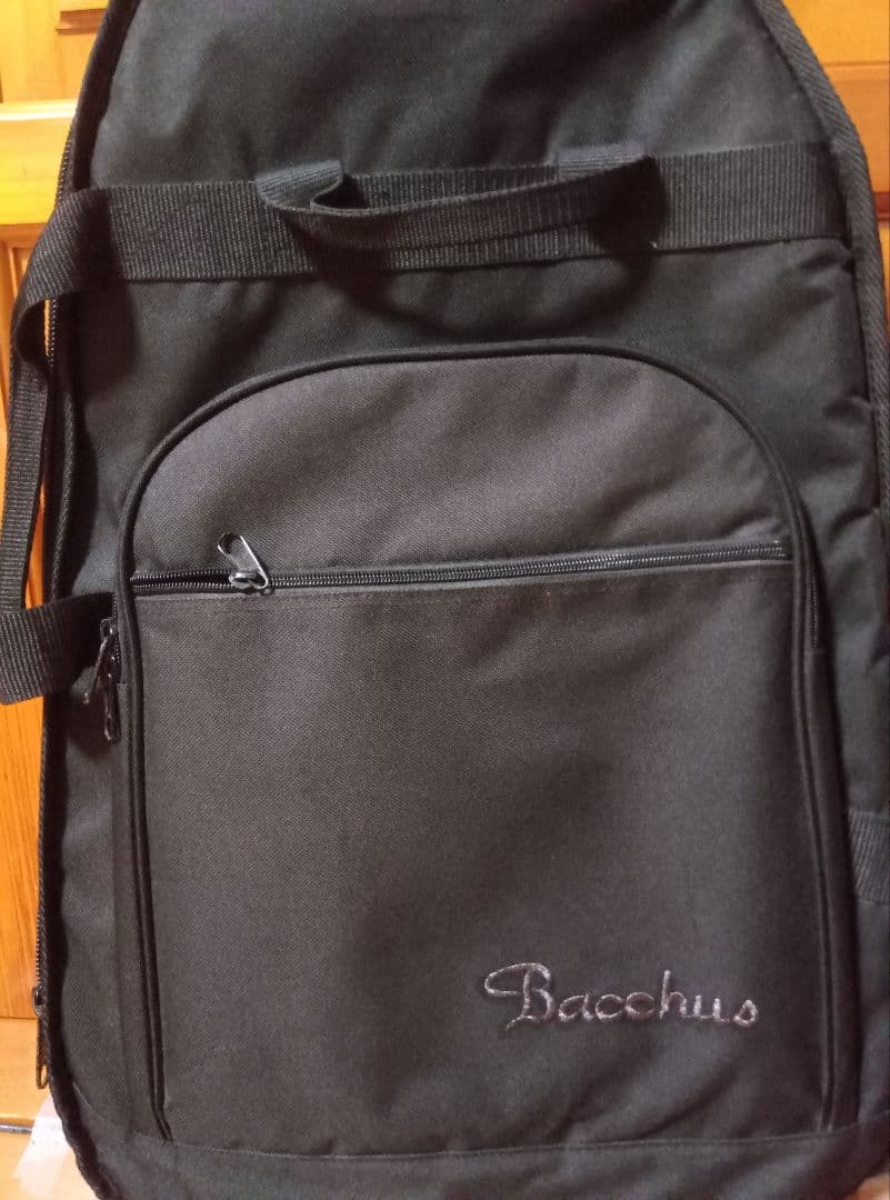 Grass Roots G-AC-45 アコースティックギター