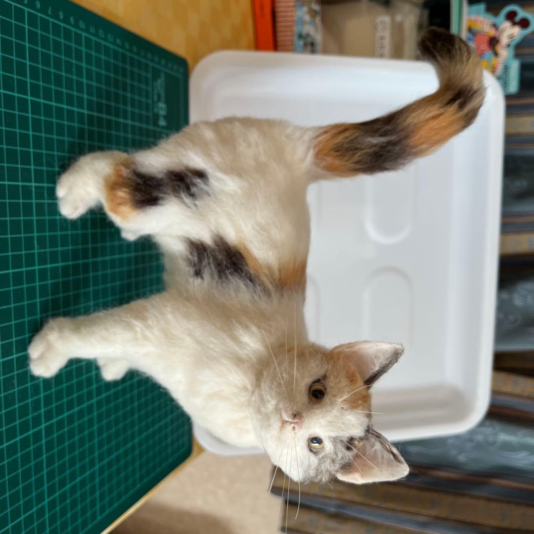 ♡MARIE♡プロフ必読です♪ 羊毛フェルト　猫　No.1 三毛