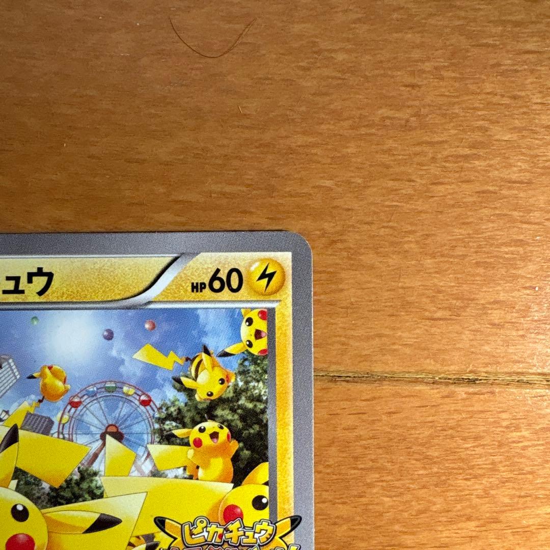 バジルの木　　ポケモンカード たいりょうはっせい！？ピカチュウ