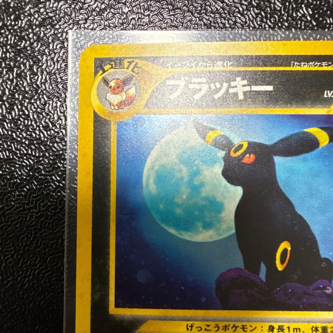 ブラッキー　旧裏　美品