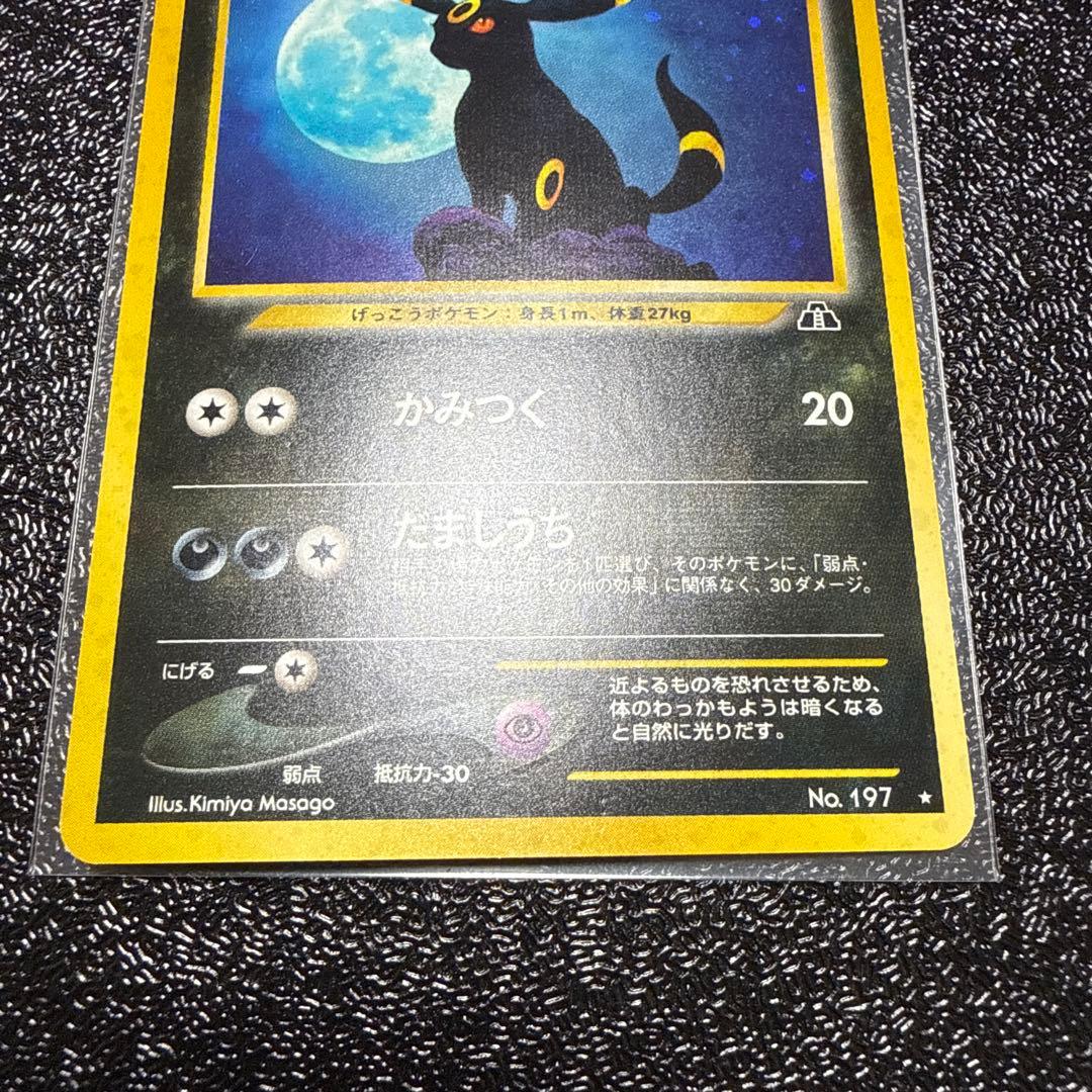 ブラッキー　旧裏　美品