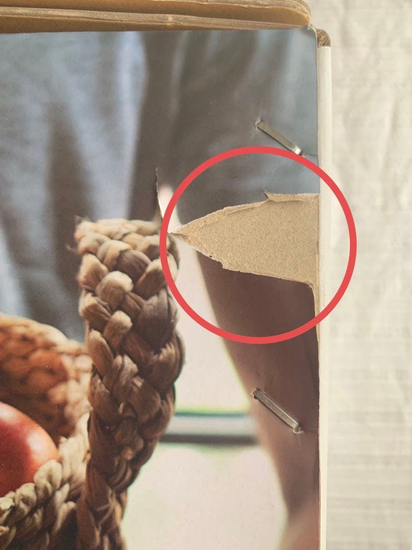 低速搾汁ヒューロムスロージューサー