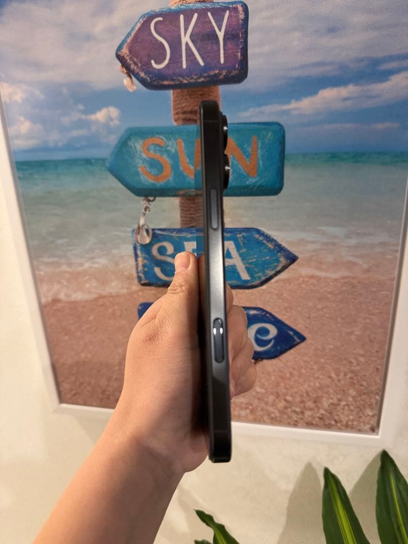 iPhone 16 Pro Max 256GB USA版