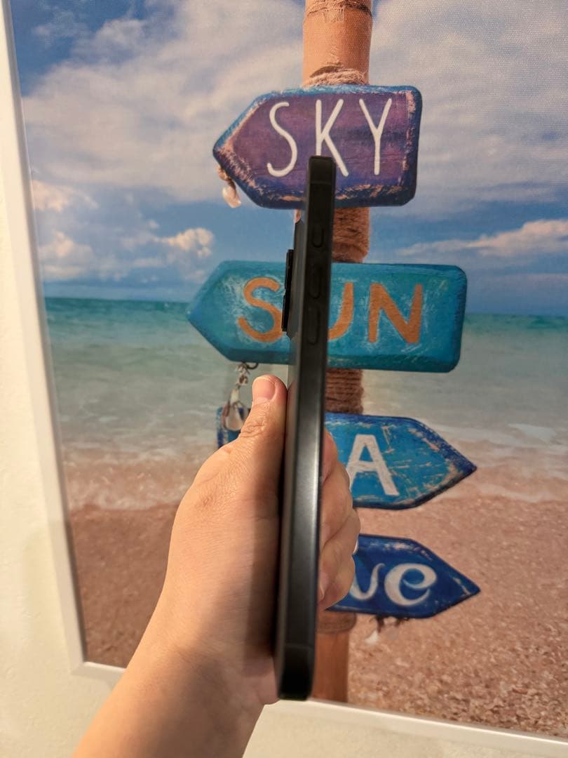 iPhone 16 Pro Max 256GB USA版