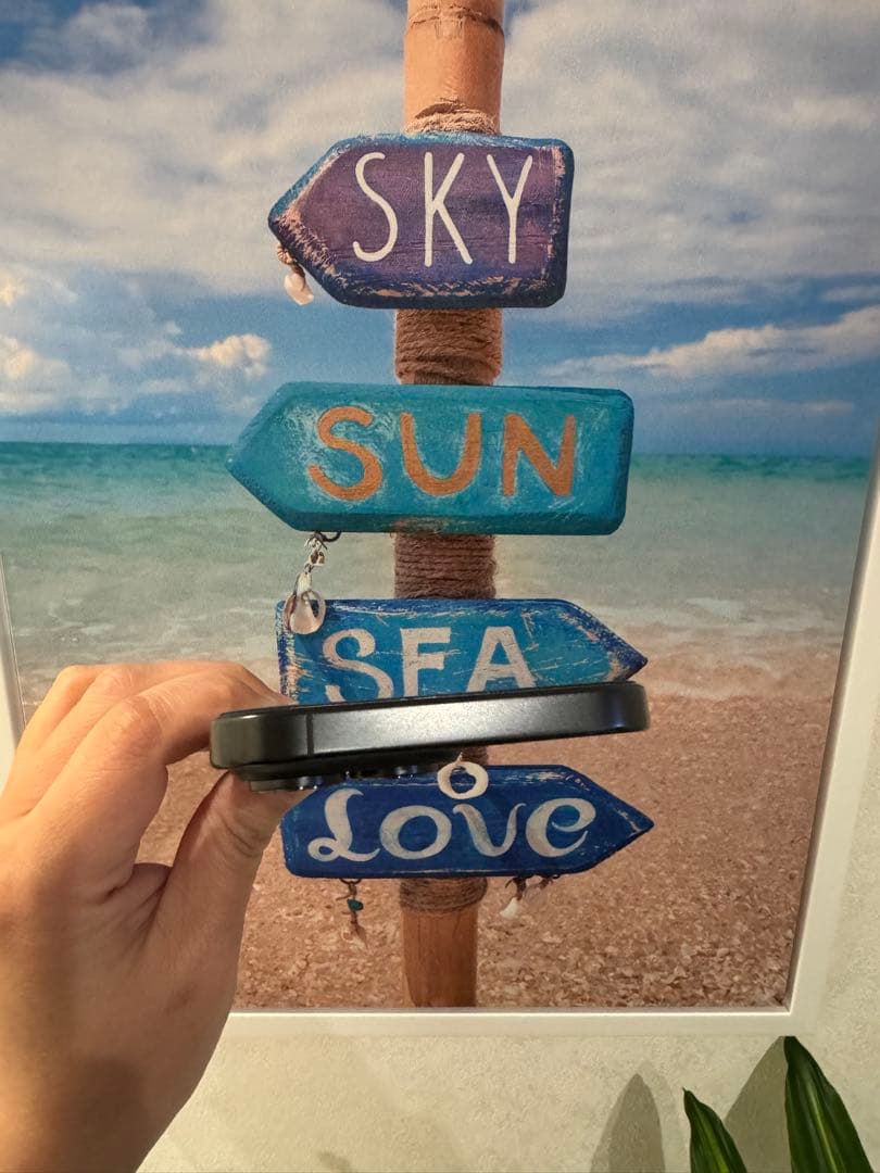 iPhone 16 Pro Max 256GB USA版